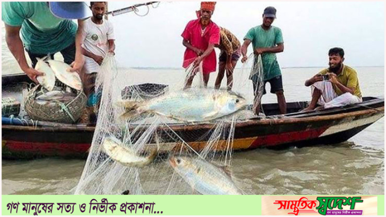মেঘনায় ইলিশ শিকারে ২২ দিনের নিষেধাজ্ঞা
